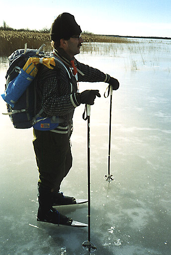 bog.jpg (67954 bytes)