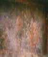 wallp2 kopia.jpg (9162 bytes)